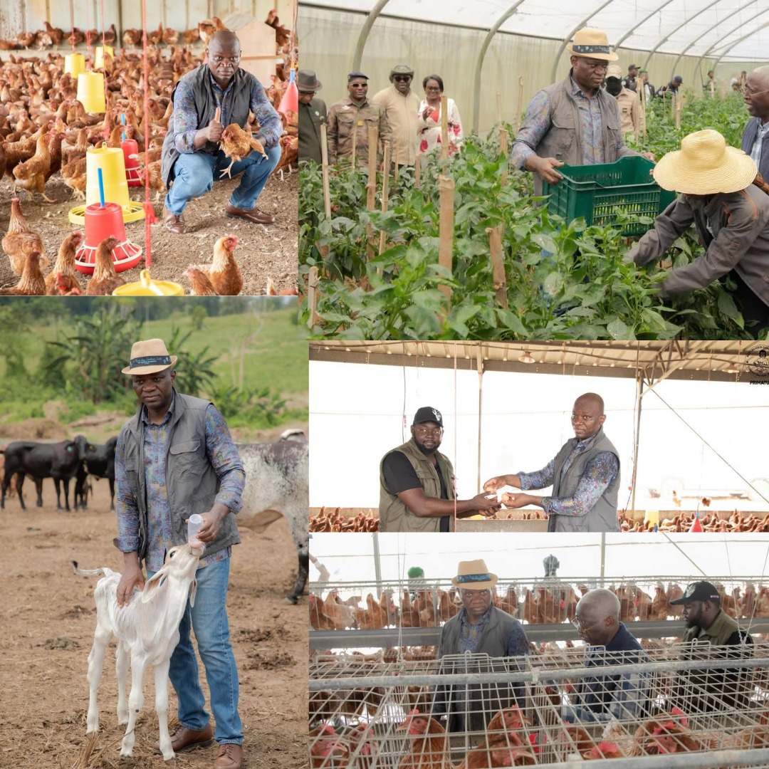 Oligui Nguema visite la Ferme Agro Pag de Ntoum : un projet ambitieux pour l’avenir agricole du Gabon